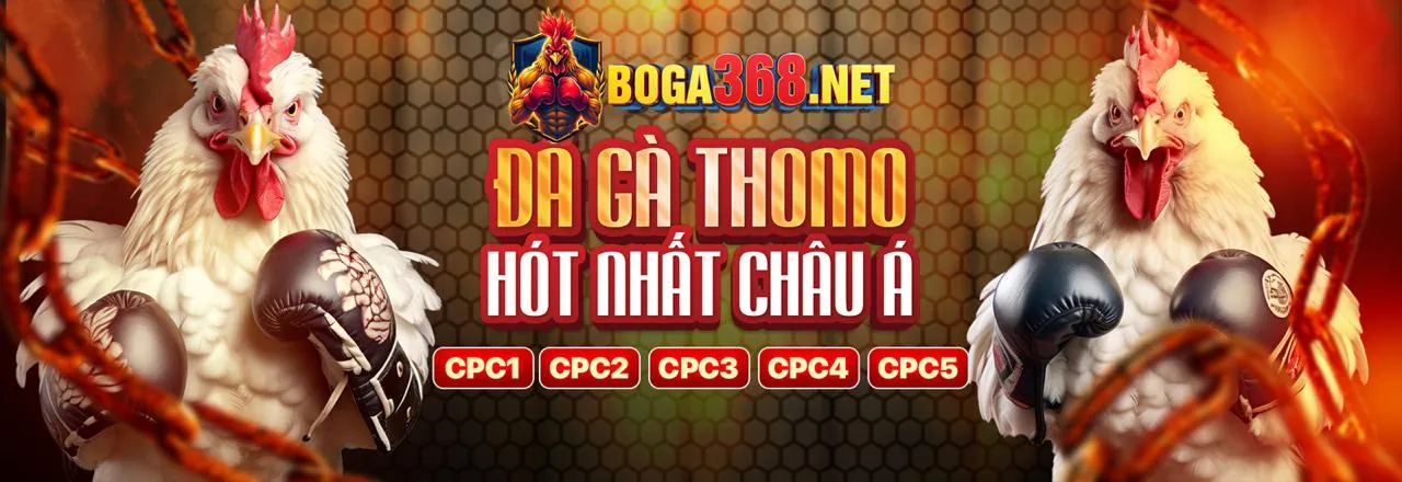 Sân vận động đầy ắp khán giả với ánh sáng rực rỡ, biểu tượng cho cá cược thể thao sôi động tại 32vin Đăng Nhập.